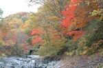 中津川渓谷　nakatugawa glen valley bottom02